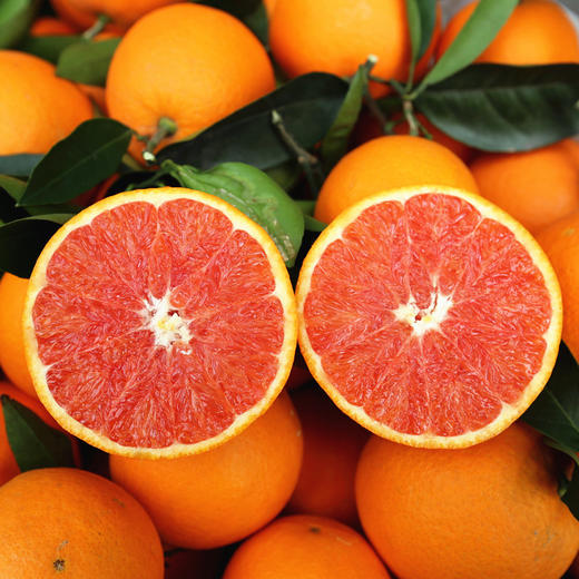 【果蔬精选】湖北红血橙 皮薄肉嫩 果香浓郁 酸甜可口 果肉橙红诱人 每一口都汁水四溢~ 商品图0
