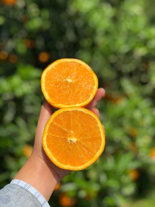 周日取货：【今晚橙】一箱毛重3斤左右，高糖甜橙，橙味浓郁。 商品图0