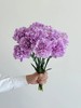 荷兰进口Moonaqua紫色康乃馨10支 商品缩略图7