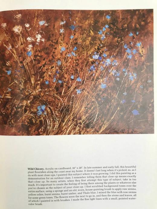 海上风景画 约百幅插图 精装16开 商品图10