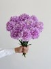 荷兰进口Moonaqua紫色康乃馨10支 商品缩略图5