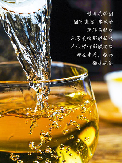 【猫耳朵】2024年易武头春古树贡茶倚邦中的"小妖精"仅有0.01％的人喝过！云南小叶种之蕞普洱茶生茶357g/饼 拍5发6 商品图4