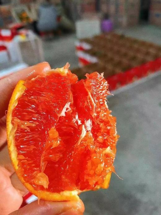 中华红橙 商品图2