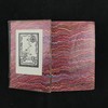 含藏书票！约19世纪后期 蒲柏诗集 约7幅插图 真皮精装32开 商品缩略图2