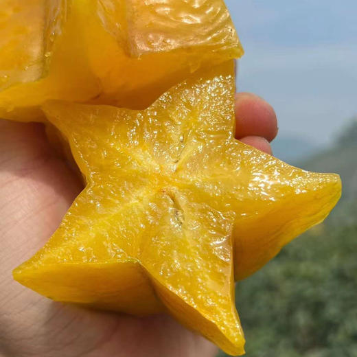 福建树上熟软枝杨桃顺丰京东快递包邮下单从福建发货 商品图2