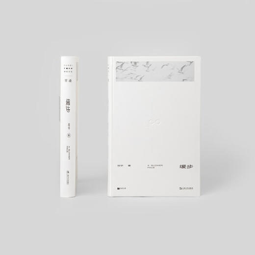 缓步 班宇 著 单读 商品图2