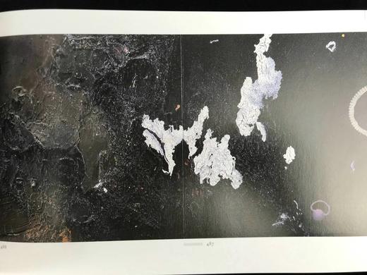 时代之石，时间之沙：芭芭拉·佩奇画集 544幅插图 精装16开 商品图13