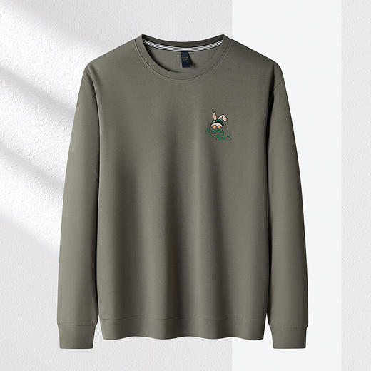 【弹力舒适】罗蒙春秋男装卫衣时尚绣花卫衣男士时尚休闲百搭圆领长袖t恤上衣 商品图4