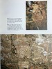 古代秘鲁壁画图集 约百余幅插图 精装16开 商品缩略图10