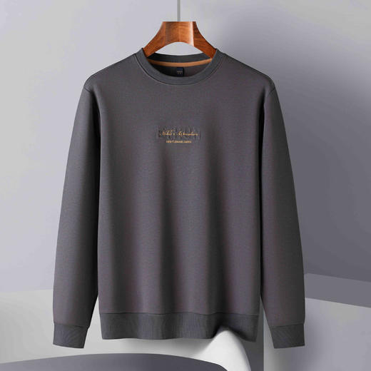 14LP3723414LP37234【桑蚕丝混纺】罗蒙春季男装绣花卫衣男士舒适休闲百搭圆领长袖T恤 商品图2