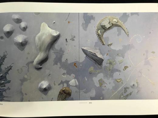 时代之石，时间之沙：芭芭拉·佩奇画集 544幅插图 精装16开 商品图6