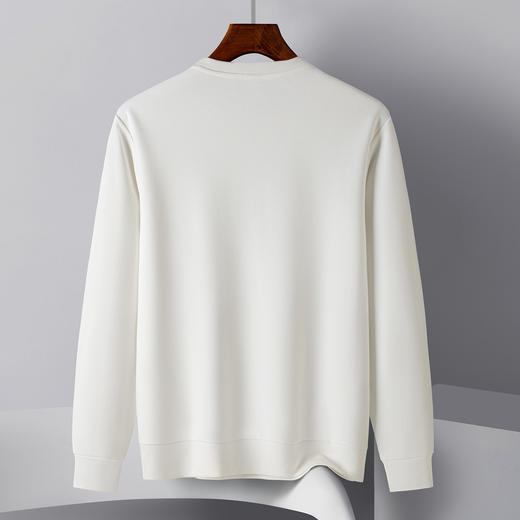 【桑蚕丝混纺 多色】罗蒙春秋男装休闲卫衣精美印花卫衣男士舒适百搭卫衣长袖圆领T恤男 商品图6