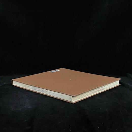 美国场景：二十世纪三世年代美国绘画 约百余幅插图 精装16开 商品图1