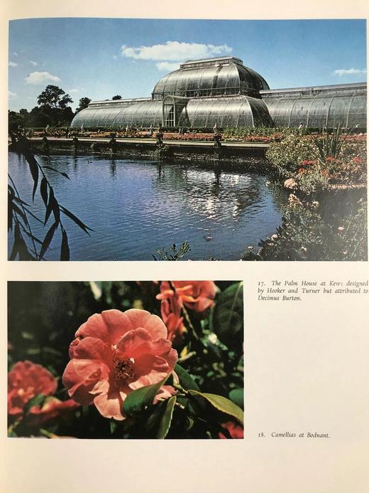 园林与园艺史 33幅彩色391幅黑白插图 精装大16开 商品图8