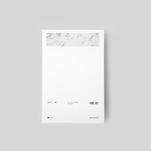 缓步 班宇 著 单读 商品图1