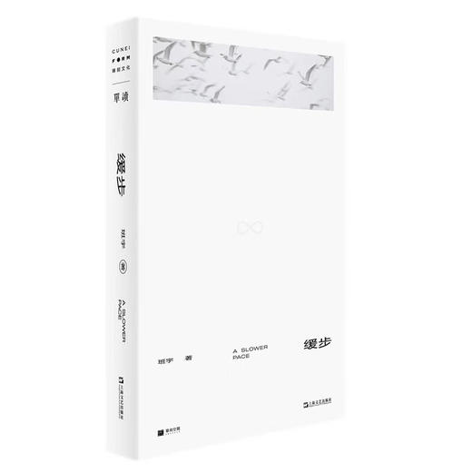 缓步 班宇 著 单读 商品图5