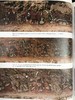 古代秘鲁壁画图集 约百余幅插图 精装16开 商品缩略图7