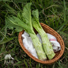 生态棒菜 | 绿家自产*Eco-crassicaulis mustard | Self-production 商品缩略图1