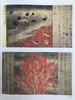 世界艺术的五种热情 161幅插图（150幅彩色） 精装16开 商品缩略图7