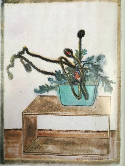 自然映像：美国艺术中的花朵 149幅插图 精装16开 商品图7