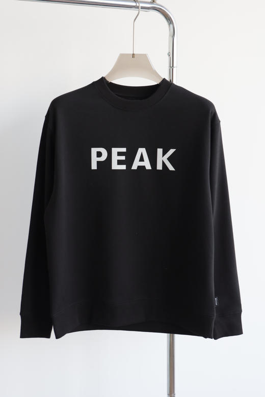 SN0W PEAK 雪锋联名 3M反光圆领卫衣 WY800 商品图6