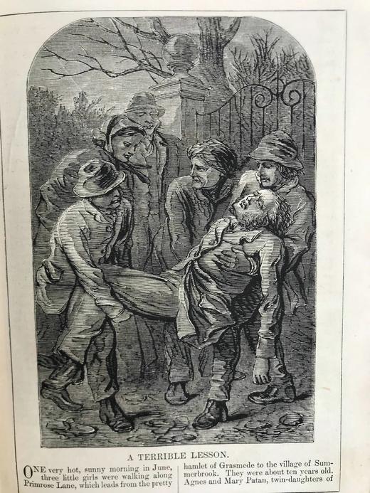 1873年 儿童奖赏杂志 数十幅精美插图 真皮脊精装32开 商品图5