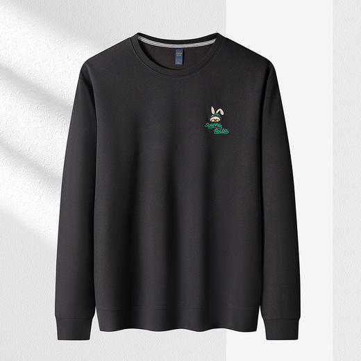 【弹力舒适】罗蒙春秋男装卫衣时尚绣花卫衣男士时尚休闲百搭圆领长袖t恤上衣 商品图7