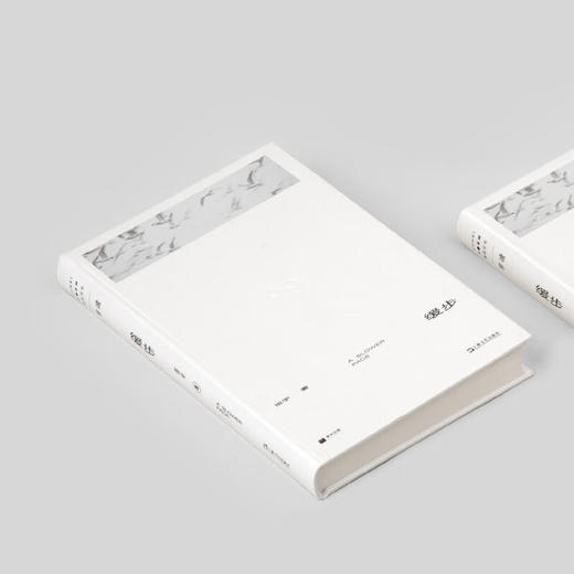 缓步 班宇 著 单读 商品图3