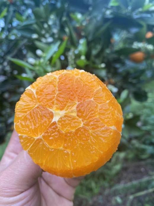 周日取货：【今晚橙】一箱毛重3斤左右，高糖甜橙，橙味浓郁。 商品图1