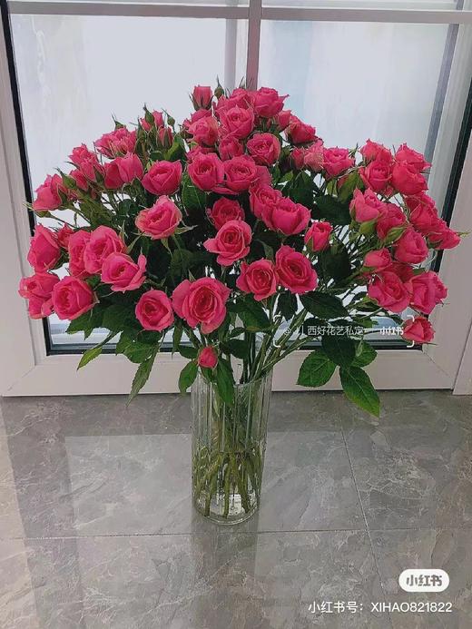 苏菲宝贝10支 商品图1