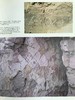 古代秘鲁壁画图集 约百余幅插图 精装16开 商品缩略图12