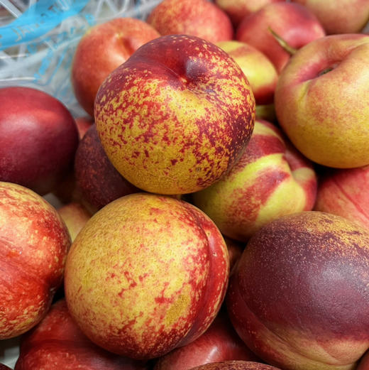 【白蜜油桃】脆甜白蜜油桃，入口脆甜，桃味浓郁，放软吃汁水更多，桃味很正！ 商品图1