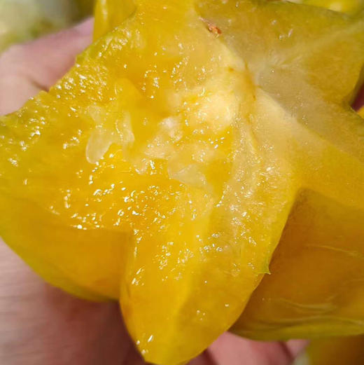 福建树上熟软枝杨桃顺丰京东快递包邮下单从福建发货 商品图3