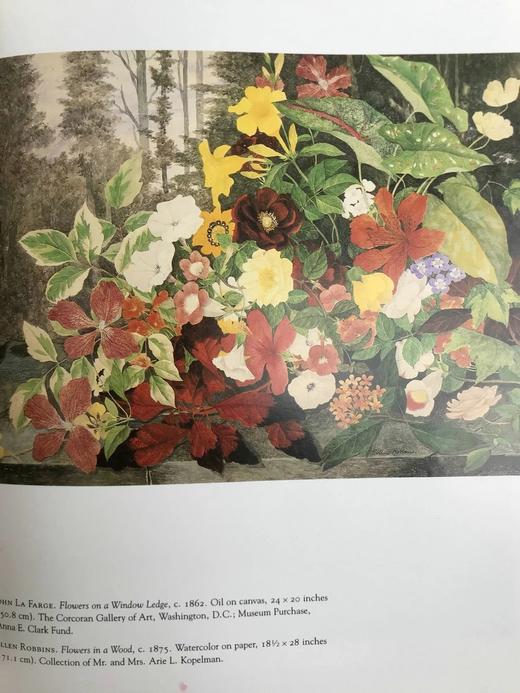 自然映像：美国艺术中的花朵 149幅插图 精装16开 商品图11
