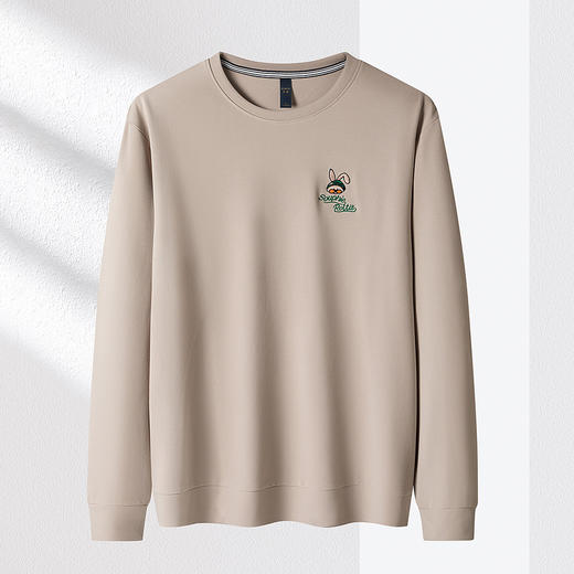 【弹力舒适】罗蒙春秋男装卫衣时尚绣花卫衣男士时尚休闲百搭圆领长袖t恤上衣 商品图6