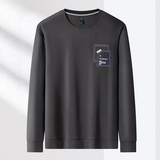 【肌理提花 多色】罗蒙春秋男装卫衣贴布假口袋卫衣男士舒适休闲百搭圆领长袖t恤男 商品图3