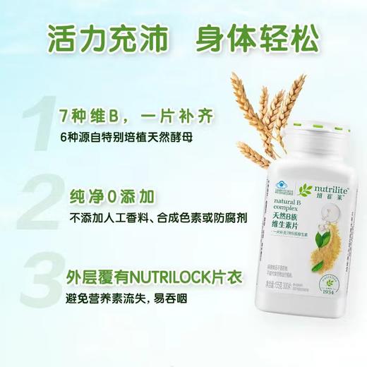 安利ncl@天然B族wss300片[7种B族wss] 商品图3