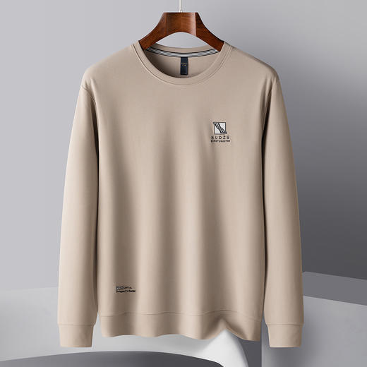 罗蒙春秋男装卫衣时尚绣花卫衣男士休闲百搭圆领长袖t恤男 商品图5