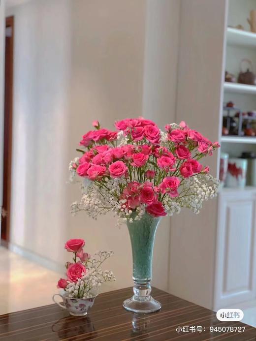 苏菲宝贝10支 商品图2