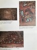古代秘鲁壁画图集 约百余幅插图 精装16开 商品缩略图8