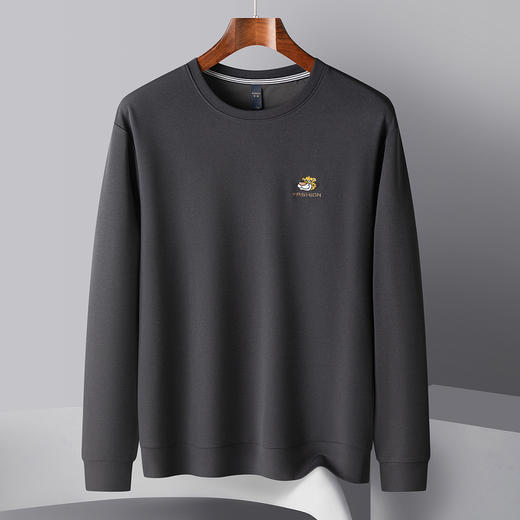 罗蒙春秋男装卫衣时尚绣花卫衣男士休闲百搭圆领长袖T恤男 商品图4