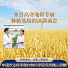 中国农科院 燕麦米 500g/盒 商品缩略图3