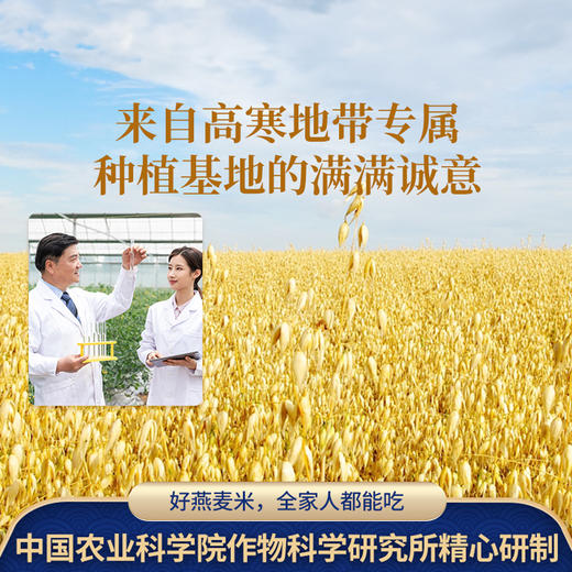 中国农科院 燕麦米 500g/盒 商品图3