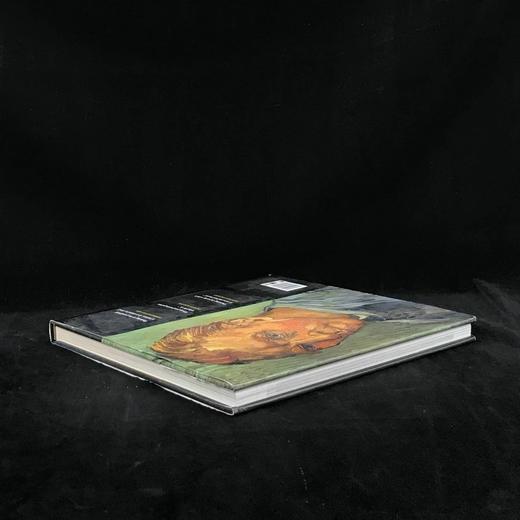 尼克·韦尔斯《艺术史》 约200余幅彩色插图 精装大16开 商品图2