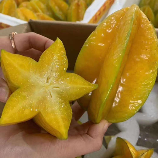 福建树上熟软枝杨桃顺丰京东快递包邮下单从福建发货 商品图5