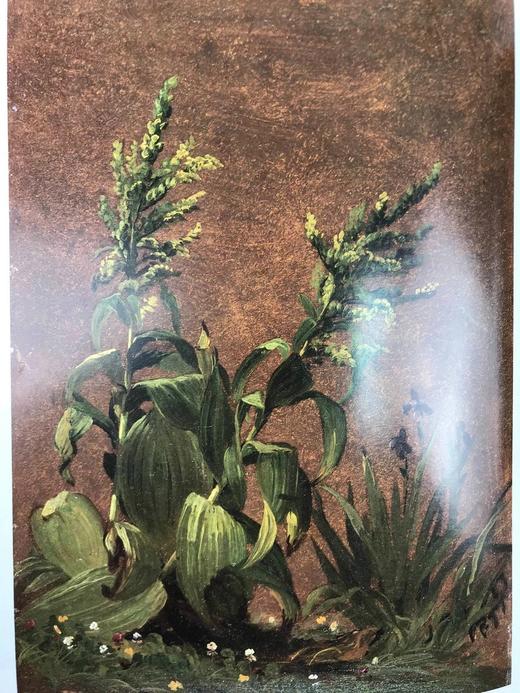 自然映像：美国艺术中的花朵 149幅插图 精装16开 商品图8