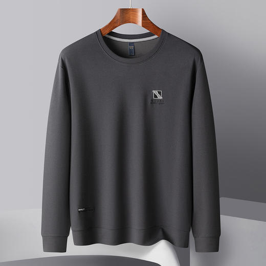 罗蒙春秋男装卫衣时尚绣花卫衣男士休闲百搭圆领长袖t恤男 商品图6