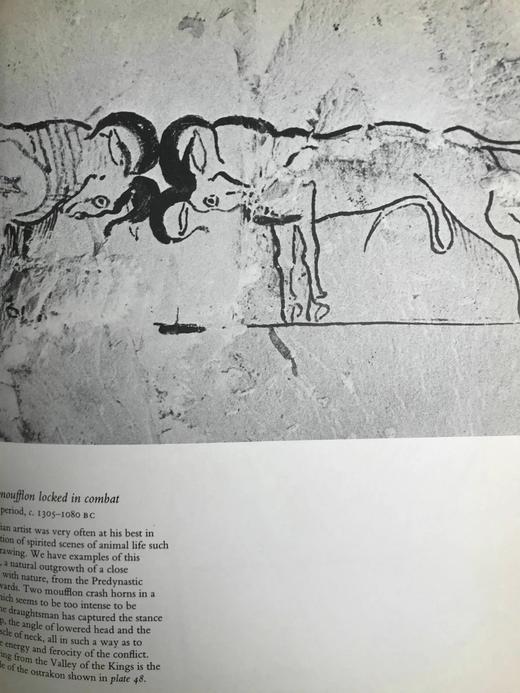 埃及绘画图集 169幅插图（16幅彩色） 精装16开 商品图12