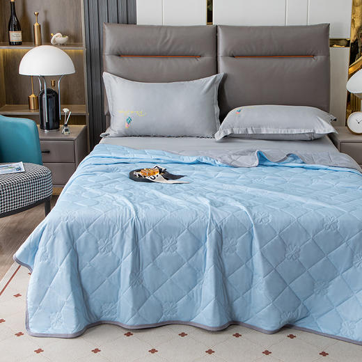 【A类母婴级！冰淇淋凉感丝夏凉被】冰爽丝滑，凉而不冰，感受清凉夏夜，纯色轻薄空调被子可水洗夏被子 商品图2