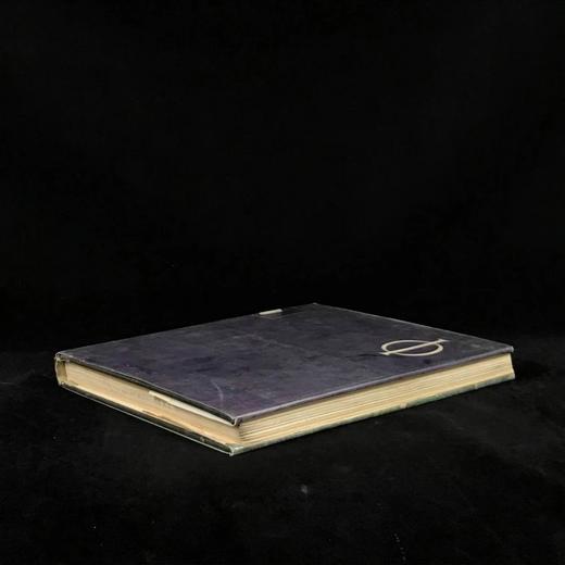 躁动的世纪：英国绘画，1800-1900 171幅插图（24幅彩色） 精装16开 商品图2